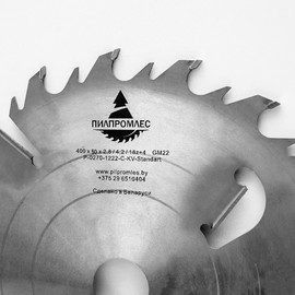 Circular saw 